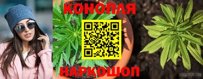 Альфа ПВП Вязники