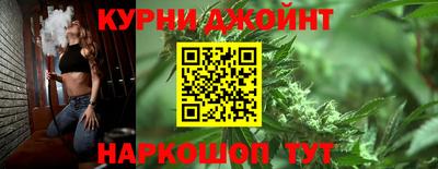 гидра Вязьма