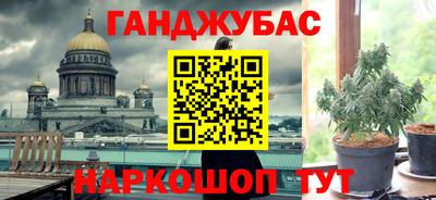 гидра Вязьма