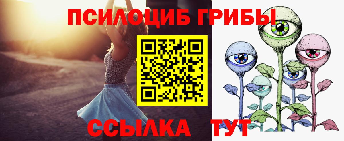 Псилоцибиновые грибы GOLDEN TEACHER Добрянка